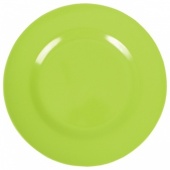 Melamine Side Plate in Green
